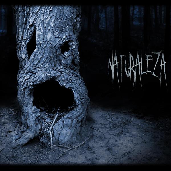 Tapa del Álbum